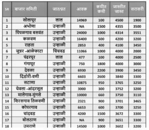 कांदा भाव
