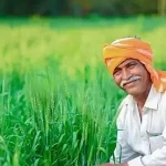 Farmers