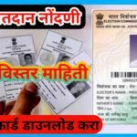 voter id