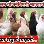 kukut-palan-yojana-poltry-house-yojana-2022