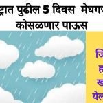 rain in maharashtra