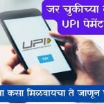 Wrong UPI Transactions
