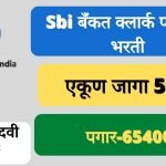 SBI Clerk Recruitment 2022