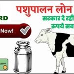 Dairy Farming Loan