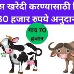 Milch Animal Subsidy Scheme