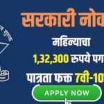 sarkari nawkari