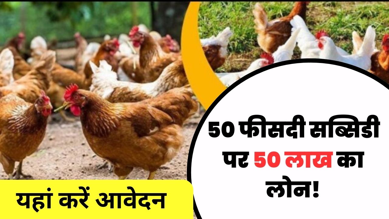 Poultry farm subsidy