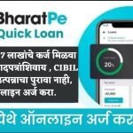 Bharat Pe Loan