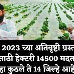 अतिवृष्टी ग्रस्त