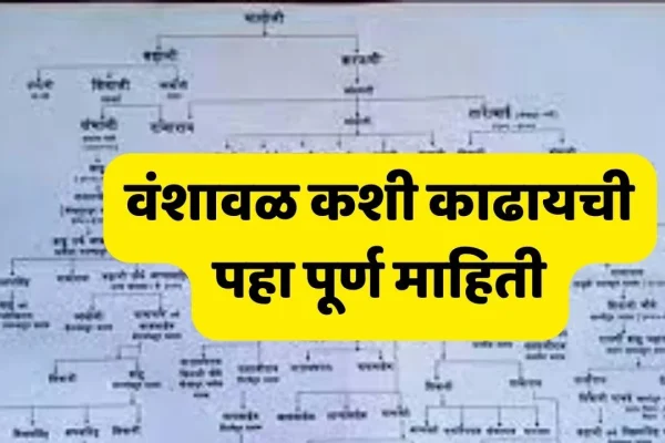 cast validity document