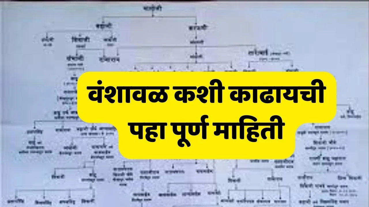 cast validity document