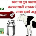 Dairy Farming Loan Apply 2024