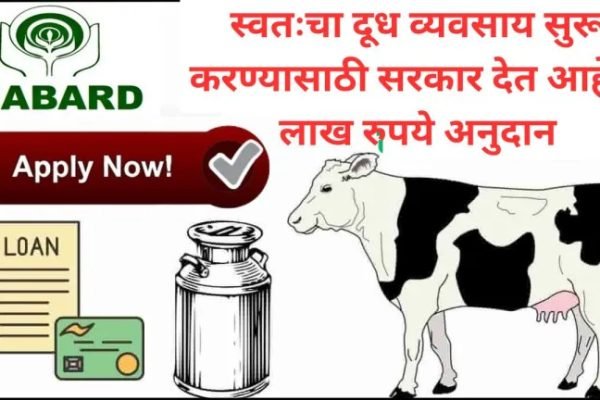 Dairy Farming Loan Apply 2024