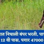 Forest Guard Recruitment 2023