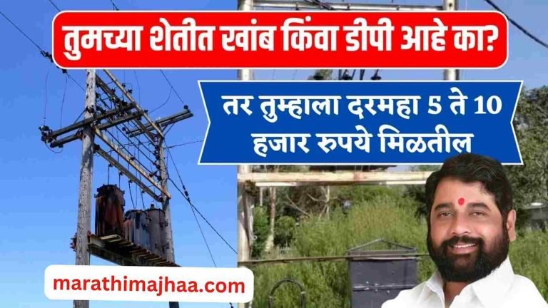 तुमच्या शेतात पोल किंवा डीपी आहे का? जर असेल तर, मिळतील तुम्हाला महिन्याला 5 ते 10 हजार रुपये? transformer subsidy