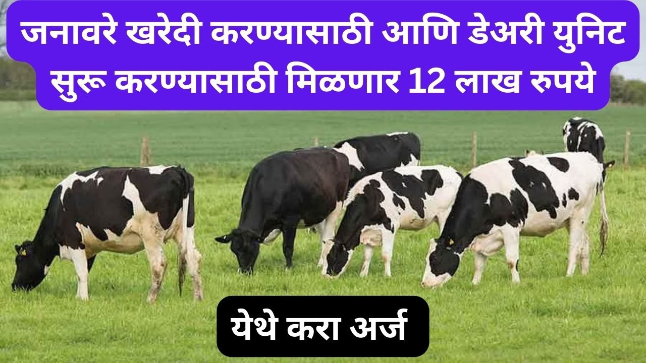 NABARD Animal Husbandry Loan